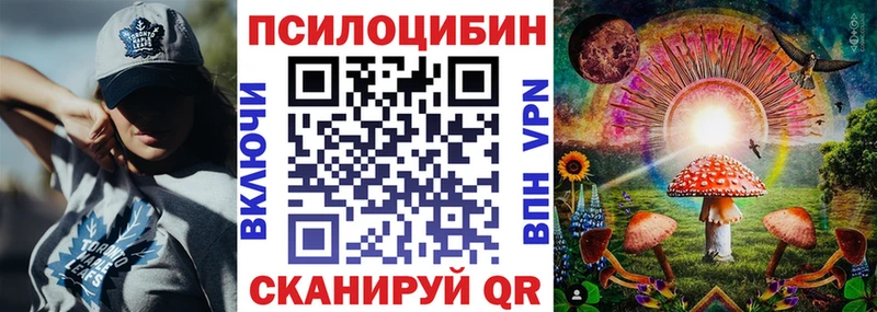 мега сайт  Сальск  Галлюциногенные грибы GOLDEN TEACHER  купить наркотик 