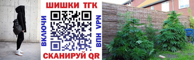 Бошки Шишки сатива  закладки  Сальск 
